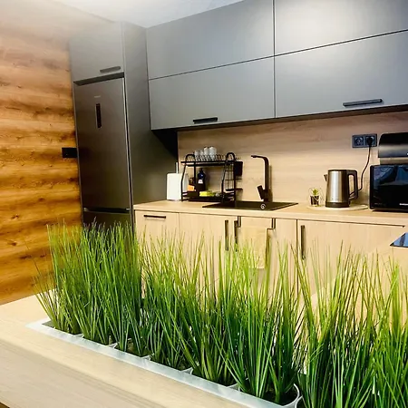 гончеви * Velingrad