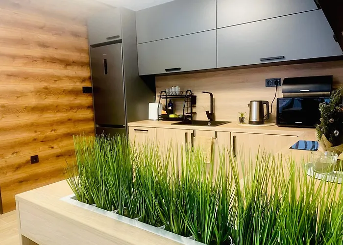 гончеви * Welingrad